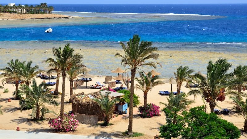 http://travel2egypt.org/sharm-el-luli-snorkeling-adventure-from-marsa-alam/