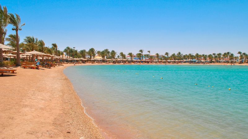 Tropical beach with calm waters and palm trees.