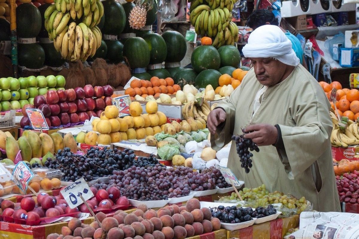 egypt travel tips