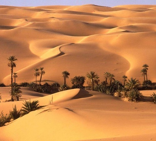 A tranquil oasis amidst expansive sand dunes under a clear sky