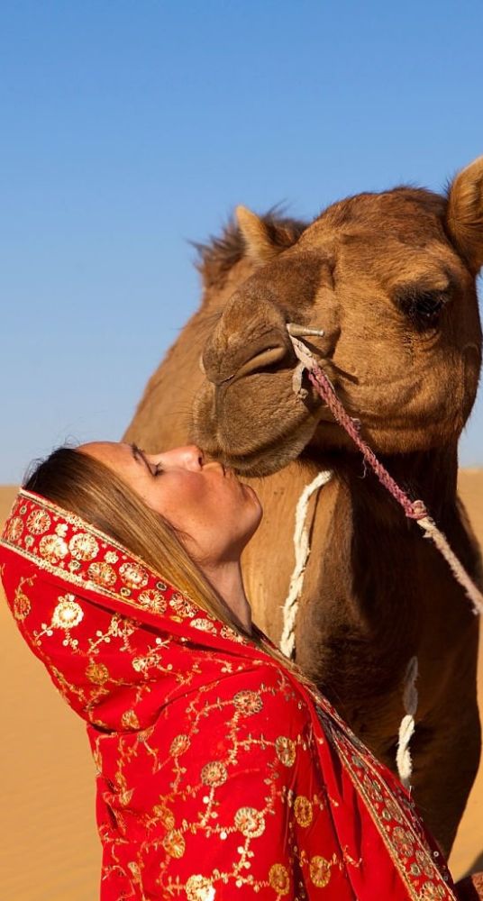 camel and women