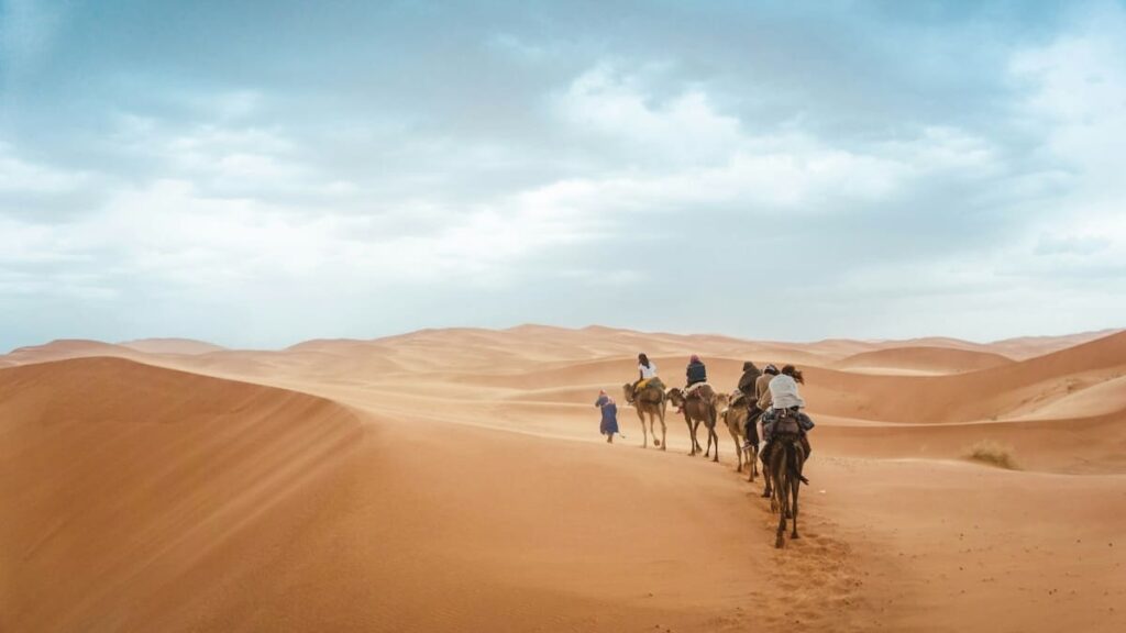 A group of camels trekking through a vast desert landscape under a clear sky, guided by Bedouin riders in traditional attire.