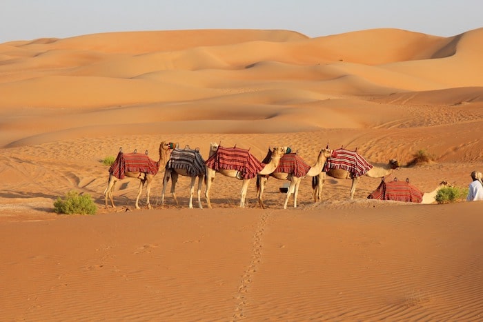 egypt travel guide