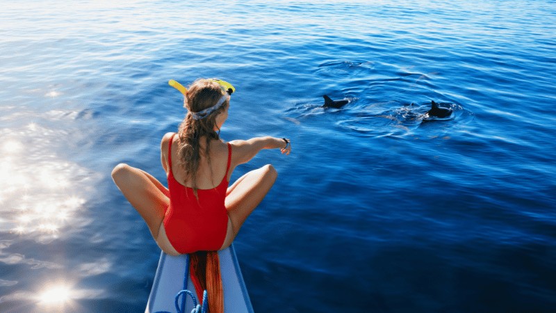 "A woman in a red swimsuit sitting on the edge of a boat, reaching out to a group of dolphins in the blue ocean."