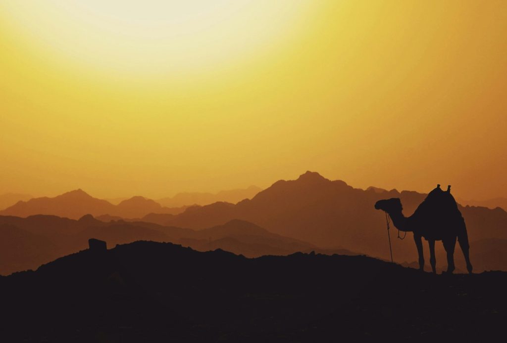 adventure travel guides: ultimate thrilling expeditions