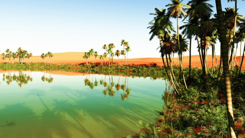 "A tranquil oasis with palm trees and lush greenery in the foreground, reflecting in the water against a backdrop of rolling sand dunes."