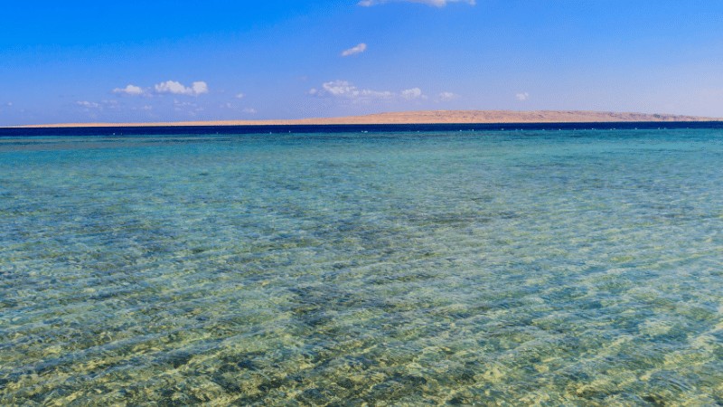 Clear shallow waters with coral reefs near Giftun Island under a bright blue sky