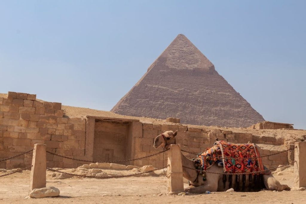 Ancient Egyptian Kings: The Majestic Reign of Egypt's Pharaohs