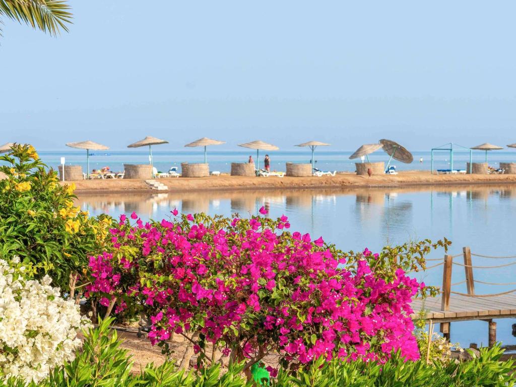 Cairo Calling: Discover Ancient Wonders on a Full-Day Group Tour from Al Gouna