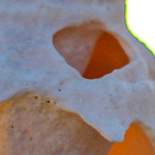 Close-up of an abstract pattern with soft white and warm orange tones