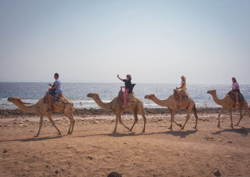 Best Time to Visit Egypt