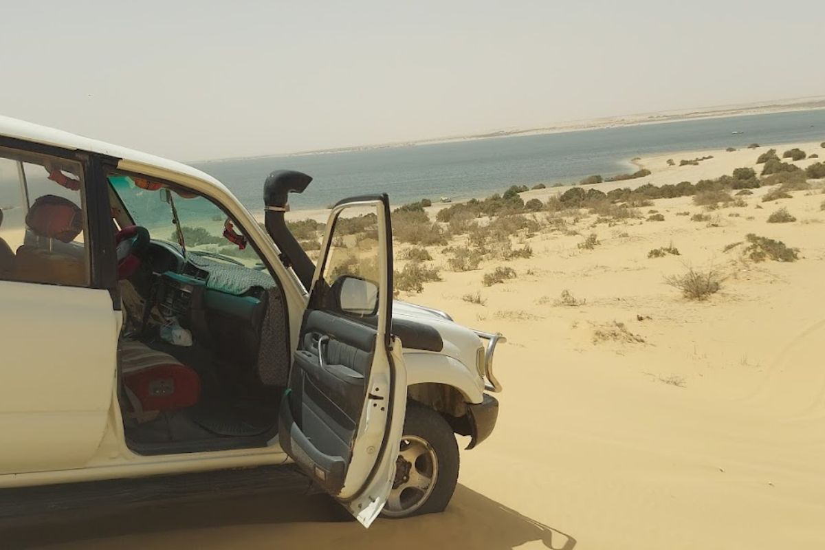 A breathtaking view of Wadi El Rayan's golden sand dunes in Egypt, with rippling patterns across the desert under a vibrant blue sky