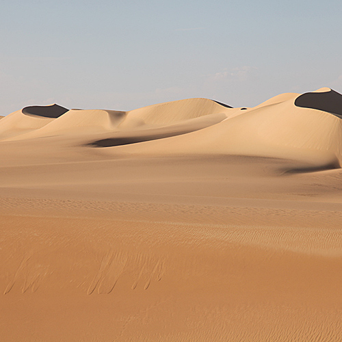 Gentle curves of sand dunes in a desert under a clear sky