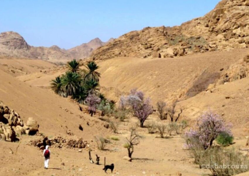 Wadi Feiran